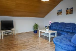 a living room with a blue couch and a tv at Monteurzimmer Hochsal in Laufenburg