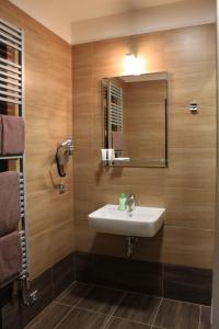 un bagno con lavandino e specchio di Penzion U Karla IV. a Kadaň