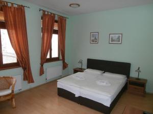 a bedroom with a bed and two windows at Penzion Scarlet in Trenčín