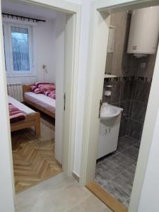 Zimmer mit einem Bad mit einem Waschbecken und einem Bett in der Unterkunft Apartman Ana in Subotica