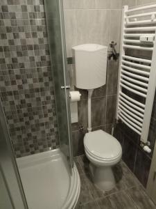 ein kleines Badezimmer mit Toilette und Dusche in der Unterkunft Apartman Ana in Subotica + 11 Fotos
