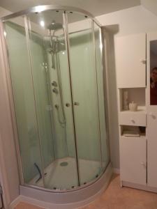 um chuveiro com uma caixa de vidro na casa de banho em Le puits de la Montrée em Chahaignes