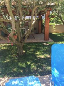 a tree in the middle of a yard at Fabris Apartments with pool and top location near sea in Novigrad Istria