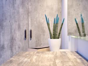 Fotografie z fotogalerie ubytování Savvas Luxury Suites v destinaci Laganas