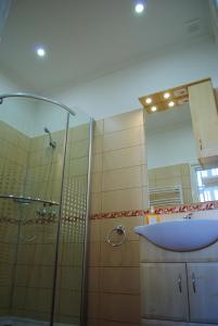 Kúpeľňa v ubytovaní Dobó Téri Apartman