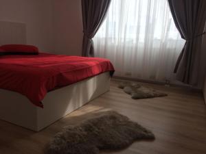 ブラショヴにあるApartament de inchiriat OLIMPIC REZIDENCEのベッドルーム1室(ベッド1台付)、床に敷物2枚が備わります。