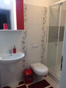ブラショヴにあるApartament de inchiriat OLIMPIC REZIDENCEのバスルーム(トイレ、洗面台、シャワー付)