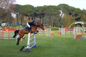 Horseback riding at Az apartmant or nearby