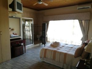 a bedroom with a bed and a large window at Krige Lodge B&B in Bloemfontein