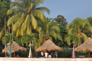 a group of people sitting under palm trees at Hotel Ecológico Tierra Blanca in Moyogalpa