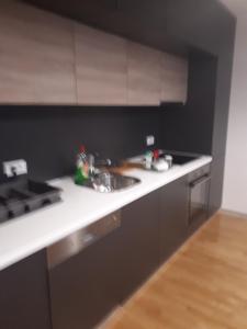 Kuchyňa alebo kuchynka v ubytovaní Apartmam "Mavi"