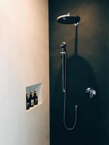 a bathroom with a shower with a shower head at AVLiving City ROOM Basel in Basel