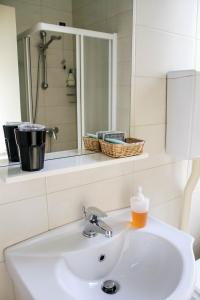 a white bathroom sink with a mirror and a shower at Al Ponte della Vittoria in Belluno