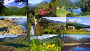 a collage of photos of mountains and a lake at Apartment zum Wasserfall in Krakaudorf