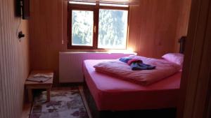 a room with a bed with a dog laying on it w obiekcie Helal Apart w mieście Uzungöl