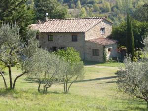 una vieja casa de piedra en un campo con árboles en Podere Pian di Cava en Castelnuovo di Val di Cecina