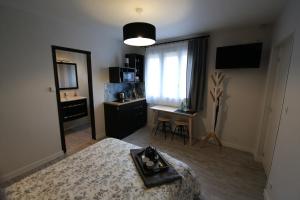 a bedroom with a bed and a desk and a mirror at Le Nid Bord De La Loire in Orléans