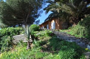 una casa en una colina con una palmera en Villa farniente, en Le Lavandou 12 fotos más