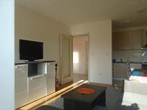 een woonkamer met een flatscreen-tv en een bank bij Fantastic brand new apartment in Podgorica