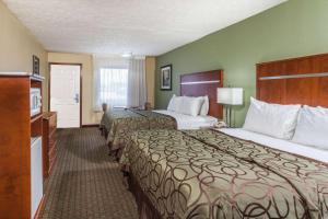 two beds in a hotel room with green walls at Baymont by Wyndham Pigeon Forge near Island Drive in Pigeon Forge +37 photos