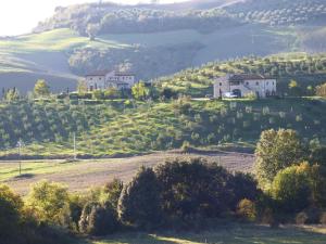une maison au sommet d'une colline avec des arbres dans l'établissement Agriturismo Podere Campaini, à Volterra