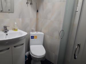 a bathroom with a toilet and a sink at Смарт-апартаменти " Lutskyj zamok" in Lutsk +16 photos