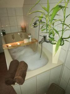 La salle de bains est pourvue d'une baignoire avec des plantes. dans l'établissement Ferienwohnung Mephisto und Faust, à Thale