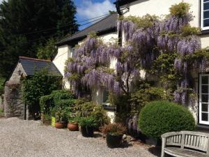 The building where the bed & breakfast is located 