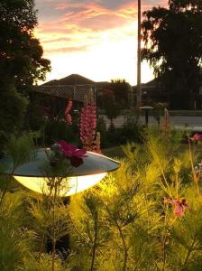 una tabla de surf está sentada en un campo de flores en Garden City Motel en Christchurch