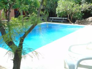a swimming pool with a palm tree in front of it at Apart-Cabañas De La Plaza in San Marcos Sierras