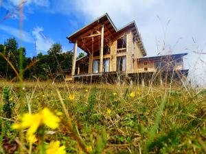 an old house on a hill in a field at Cabana Chiloe in Queilén