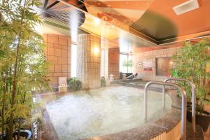 
a large swimming pool with a large tub at Ueno Station Hostel Oriental Ⅰ in Tokyo
