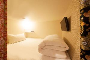 Ueno Station Hostel Oriental 1 Male Only房間的床