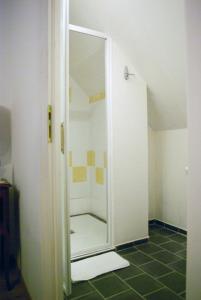 La salle de bains est pourvue d'une douche et d'un miroir. dans l'établissement La Ferme du Pech, à Saint-Geniès