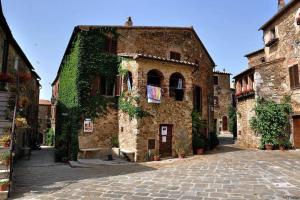 an old stone building with ivy growing on it at Montemerano-Saturnia House Apartment in Montemerano