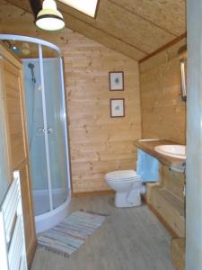 ein Bad mit einer Dusche, einem WC und einem Waschbecken in der Unterkunft La Bastide St Paul in Anglès