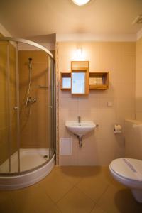 a bathroom with a shower and a sink and a toilet at Apartamenty Świnoujście - Róża Wiatrów in Świnoujście