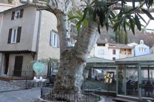 uma árvore em frente a um edifício com uma loja em La maison de jules em Moustiers-Sainte-Marie