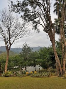 獅潭鄉的住宿－八角隱士莊園，一座树木繁茂的公园,一座湖泊