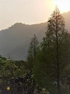 獅潭鄉的住宿－八角隱士莊園，两棵树在前沿,后边有山