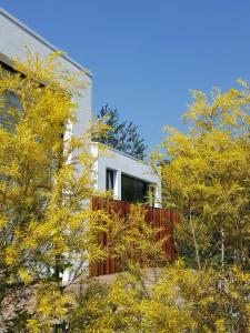 a white house with a red fence and trees at Aroundthetree Hermitage in Shitan