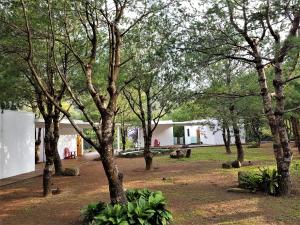 Taman di luar Aroundthetree Hermitage