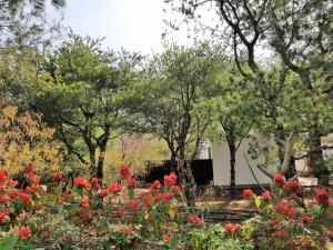 Taman di luar Aroundthetree Hermitage