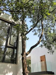 Gambar di galeri bagi Aroundthetree Hermitage di Shitan