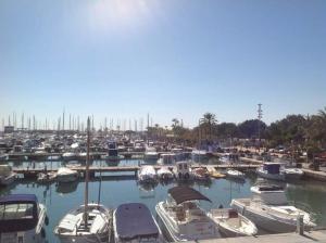 Gallery image of Apartment in Port d'Alcudia