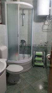 ein Bad mit einer Dusche, einem WC und einem Waschbecken in der Unterkunft Podaca house in Podaca