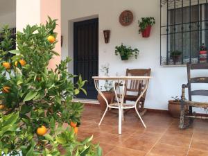 an orange tree in front of a table and chairs at Villa La Quinta in Priego de Córdoba