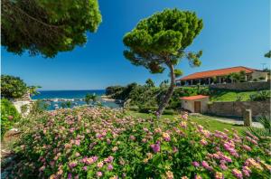 Foto dalla galleria di Porto Roma Seaside Studios a Vasilikós