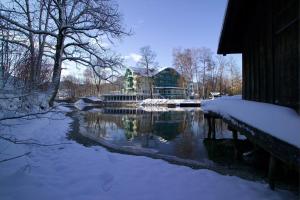 Obiekt Seevilla Altaussee zimą