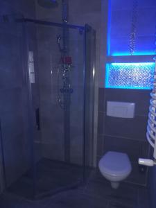 a bathroom with a glass shower with a toilet at Apart-noclegi in Siemiatycze